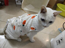 歡寵網(wǎng)寵物貓咪絕育服貓手術(shù)服母貓衣服斷奶術(shù)后恢復貓貓小貓透氣防舔衣 曬單實(shí)拍圖