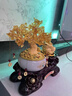 GWYNETH發(fā)財樹(shù)擺件金蟾招財聚寶盆辦公室客廳裝飾品店鋪喬遷開(kāi)業(yè)高檔禮物 小號財源滾滾發(fā)財樹(shù)（琉璃盆）-金蟾款 曬單實(shí)拍圖