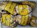 乳山生蠔 鮮活海蠣子 新鮮整箱牡蠣 生蠔鮮活 10斤 精品3XL號 3-4兩（約24-32個(gè)） 曬單實(shí)拍圖