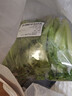 生菜苗250g(長(cháng)度≤15cm) 曬單實(shí)拍圖
