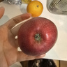 京覓四川大涼山丑蘋(píng)果 凈4.5斤 單果70mm+新鮮水果冰糖心蘋(píng)果源頭直發(fā) 曬單實(shí)拍圖