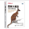 圖解大模型+圖解DeepSeek技術(shù) 京東套裝2冊 圖靈出品 曬單實(shí)拍圖