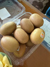佳沛（zespri）新西蘭 陽(yáng)光金奇異果12粒禮盒特大果單果約122-146g 獼猴桃 水果 曬單實(shí)拍圖