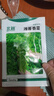 北蔬 香菜種子老品種小葉四季盆栽家庭小院種籽 濰萫香菜籽10g約800粒 曬單實(shí)拍圖