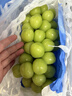 京鮮生 陽(yáng)光玫瑰葡萄 青提6斤禮盒裝 單果約10g 生鮮水果 新鮮水果 曬單實(shí)拍圖