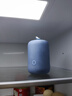 根元（RootSense）燈籠衛士生態(tài)級冰箱除味器凈味保鮮神器殺菌除臭除異味消毒除味劑 霧藍色【365天只換不修】 曬單實(shí)拍圖
