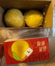 京鮮生 紅肉蜜柚 2粒 凈重5-7斤 單果2.5-3.5水果禮盒 曬單實(shí)拍圖