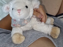 伽百利毛絨玩具柔軟可愛(ài)動(dòng)物小羊公仔玩偶抱枕禮物娃娃生日禮物送女生 W3543安吉爾 白趴羊 25cm 曬單實(shí)拍圖