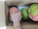 京鮮生 攀枝花凱特芒果 凈重9斤 單果500g+ 生鮮水果 源頭直發(fā) 曬單實(shí)拍圖