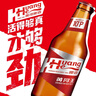 黃河啤酒啤酒10°P高麥芽500ml罐裝濃度醇厚西北味蘭州黃河王啤酒 500mL 12瓶 酒精度4度 曬單實(shí)拍圖