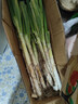 搶到就是賺】正宗山東大蔥新鮮農家自種分蔥長(cháng)蔥小細蔥脆香蔥甜蔥 9斤帶皮大蔥 4500g 曬單實(shí)拍圖