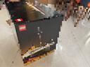 樂(lè )高（LEGO）積木拼搭玩具創(chuàng  )意百變系列10294泰坦尼克號玩具生日禮物家居裝飾 曬單實(shí)拍圖