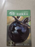 壽禾 紫黑圓茄子種子早熟紫黑蔬菜種菜壽光菜種籽菜籽 濰豐圓盾紫黑茄種子110粒 曬單實(shí)拍圖