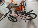 飛鴿兒童自行車(chē)6-12-18歲男女小孩學(xué)生中大童輕便山地車(chē)粉20寸變速輻 曬單實(shí)拍圖