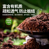 史丹利3L包裝營(yíng)養土園藝有機土通用型種花種菜養花專(zhuān)用泥炭土壤種植土 曬單實(shí)拍圖