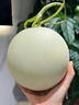 南步海南玉菇甜瓜 正宗冰淇淋甜瓜奶香蜜瓜冰激凌軟糯哈蜜瓜新鮮水果 凈重7.5-8斤 精選瓜【約3-6個(gè)裝】 曬單實(shí)拍圖
