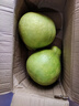 柚滿(mǎn)園【純甜不酸】梅州沙田柚子正宗特產(chǎn)廣東金柚碌柚新鮮水果沙甜柚 大果2個(gè)帶箱4.5-5斤 曬單實(shí)拍圖