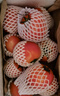 京鮮生陜西沙瓤西紅柿 凈重4.5斤 單果100g+ 沙瓤番茄源頭直發(fā)  曬單實(shí)拍圖