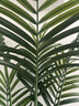 宜家（IKEA）菲卡人造盆栽植物室內/戶(hù)外Kentiapalm客廳室內/戶(hù)外裝飾 人造盆栽植物23cm 曬單實(shí)拍圖