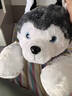 GONGZHUXIONG哈士奇毛絨玩具狗狗大號男孩睡覺(jué)抱枕公仔娃娃女孩布偶玩偶送女生 哈士奇公仔 1米 曬單實(shí)拍圖