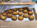 佳沛（zespri）新西蘭  陽(yáng)光金奇異果巨大果22粒原箱 單果重約144-175g 獼猴桃 曬單實(shí)拍圖