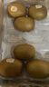 佳沛（zespri）新西蘭  陽(yáng)光金奇異果25-27粒原箱特大果單果約122-146g  獼猴桃 曬單實(shí)拍圖