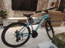 喜德盛（xds）山地自行車(chē)旭日310鋁合金車(chē)架21速入門(mén)通勤成人單車(chē) 碧水藍17 曬單實(shí)拍圖