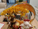 冠珺號新中式發(fā)財樹(shù)招財貓擺件客廳玄關(guān)辦公室裝飾新店開(kāi)業(yè)禮物喬遷禮物 財源廣進(jìn)招財貓【金邊大號彩盒】 京東物流 曬單實(shí)拍圖