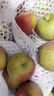 國光蘋(píng)果正宗老品種小國光酸甜脆口山東五蓮30年老樹(shù)自然成熟 5斤 小果60mm以下 曬單實(shí)拍圖