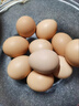 螢舞 土雞蛋農家鮮雞蛋笨雞蛋原生態(tài)山林草雞蛋谷物喂養柴雞蛋 10枚-土雞蛋 曬單實(shí)拍圖