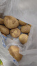 播州鮮貴州新鮮土豆高山馬鈴薯土豆黃皮黃心土豆5斤農家自種蔬菜 新鮮黃皮土豆5斤 （凈重） 曬單實(shí)拍圖