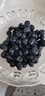 優(yōu)味集丹東藍莓應季孕婦寶寶時(shí)令水果新鮮遼寧高檔水果L25花香高山鮮果 凈重400g 精選4S果（12mm+）4盒 曬單實(shí)拍圖