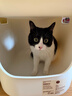 MUJI聚丙烯 附蓋貓砂盆 寵物用品 貓廁所 陽(yáng)臺 半封閉 白色 曬單實(shí)拍圖
