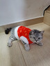 狗狗衣服冬季裝貓咪公主唐裝新年喜慶毛毛牽引羊駝絨衣小型犬寵物  012紅 M【建議4-6斤長(cháng)27左右】 曬單實(shí)拍圖