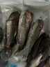 御瀘鮮湘正宗微山湖野鯽魚(yú)土鯽魚(yú)鮮活現殺現發(fā)淡水鯽魚(yú)大鯽魚(yú)小鯽魚(yú)批發(fā) 小鯽魚(yú)6斤裝(6-9條/斤)順豐發(fā)貨 曬單實(shí)拍圖