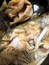 【鮮活制作】清蒸鱸魚(yú) 曬單實(shí)拍圖
