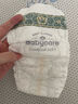 babycare金山茶花嬰兒紙尿褲試用裝M碼3片(6-11kg)尿不濕透氣【新老混發(fā)】 曬單實(shí)拍圖