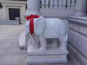 花崗巖蝦紅石雕大象一對天然漢白玉石象別墅酒店門(mén)口鎮宅擺件 花崗巖蝦紅80cm一對 曬單實(shí)拍圖