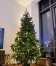 20 Q2025款真的圣誕樹(shù)真樹(shù)挪威云杉樹(shù)盆栽松樹(shù)諾貝松樹(shù)苗客廳綠植香松 【客廳】1.2-1.4米高+配件 曬單實(shí)拍圖