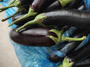 山東壽光長(cháng)茄子當季時(shí)令生鮮蔬菜農家新鮮采摘家常產(chǎn)地直發(fā)包郵 凈重 5斤 曬單實(shí)拍圖