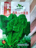 大葉菠菜種子菠菜籽種四季易種紅根菠菜種孑越冬耐寒秋播蔬菜盆栽 大葉菠菜種子【2袋】約1000粒 曬單實(shí)拍圖