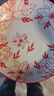 高溫釉下彩陶瓷菜盤(pán)家用向陽(yáng)花高顏值洋氣簡(jiǎn)約菜盤(pán) 陶瓷盤(pán)（7/8英寸隨機）-隨機色-1個(gè)裝 1件套 曬單實(shí)拍圖