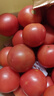 正宗攀枝花沙瓤西紅柿露天生吃粉果番茄新鮮采摘非普羅旺斯西紅柿 凈重中果【80-120克】 5斤 曬單實(shí)拍圖