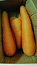 【山東蔬菜】新鮮胡蘿卜冰糖心水果蘿卜紅蘿卜即食煲湯不帶泥新鮮 嘗鮮【凈重1斤】壽光農家菜 【新鮮發(fā)出丨產(chǎn)地直發(fā)】 曬單實(shí)拍圖