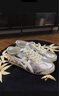 Onitsuka Tiger鬼塚虎運動(dòng)休閑鞋MEXICO 66?復古銀色男女鞋1183B566 銀色 37.5 曬單實(shí)拍圖