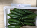山東壽光水果黃瓜生吃脆新鮮荷蘭青瓜當季無(wú)刺小黃瓜源頭直發(fā) 精品水果黃瓜凈重 4.5斤 曬單實(shí)拍圖