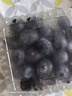 京鮮生 進(jìn)口秘魯藍莓2盒裝 JUMBO 18mm+ 約125g/盒 生鮮 源頭直發(fā) 曬單實(shí)拍圖