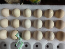 CP 正大 可生食鮮雞蛋30枚 3.36斤 達到可生食標準  禮盒裝 曬單實(shí)拍圖