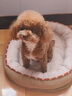 曼樂(lè )兔狗窩四季通用秋季狗墊子貓窩保暖中小型犬狗床狗狗睡墊冬季貓狗窩 跑道窩棕L-65*50cm（建議15斤內） 加高加厚靠枕 【超柔軟】 曬單實(shí)拍圖