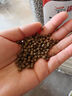 吉品鴻 錦鯉飼料1000克高蛋白魚(yú)糧魚(yú)飼料中顆粒3-4mm冷水魚(yú)池塘魚(yú)觀(guān)賞魚(yú) 曬單實(shí)拍圖